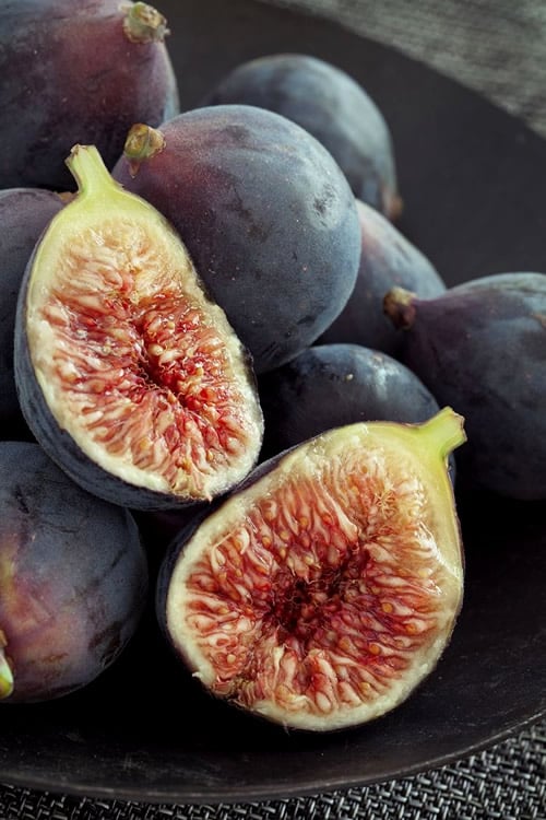  Chicago Cold Hardy Fig Tree - 3 Gallon Pot