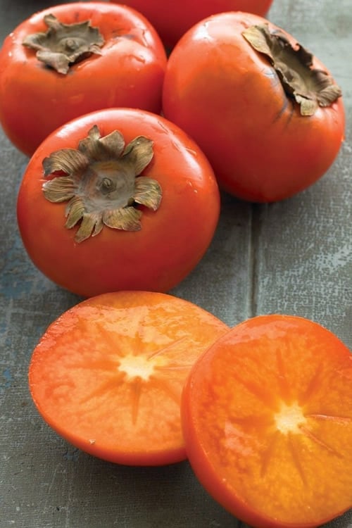  American Persimmon Tree - Diospyros Virginiana - 3 Gallon Pot