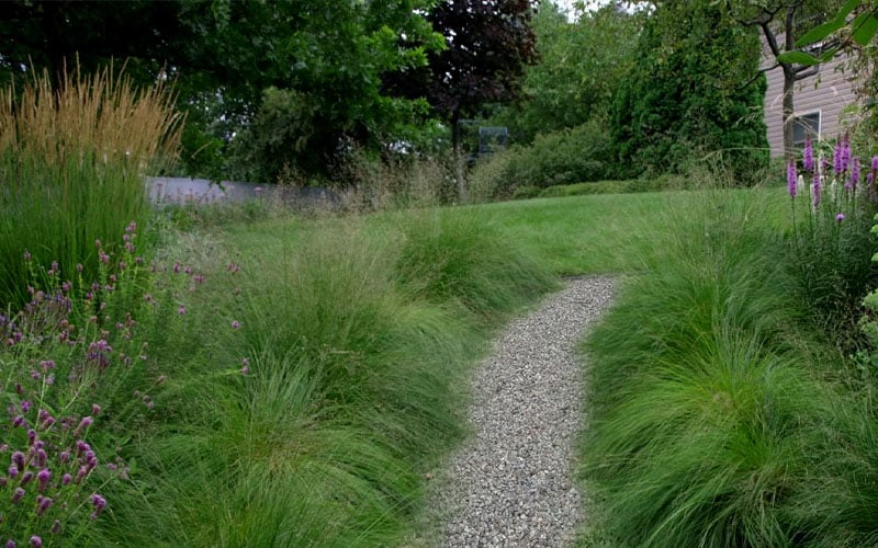  Prairie Dropseed Grass (Sporobolis Heterolepis) - 6 Pack Of 1 Gallon Pots